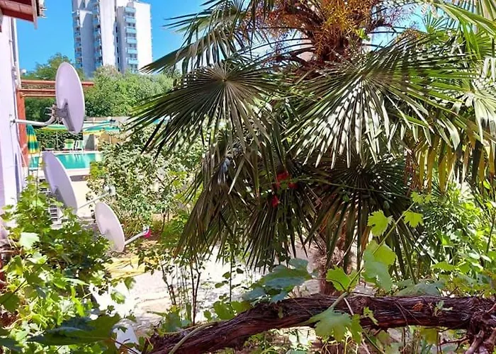 златна дюна-фешева Nesebar